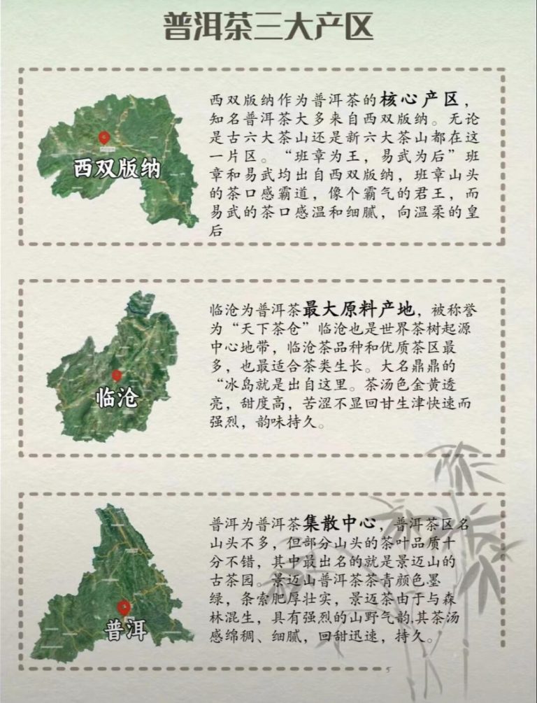 Guide of Pu Erh Tea - Regions and Mountains