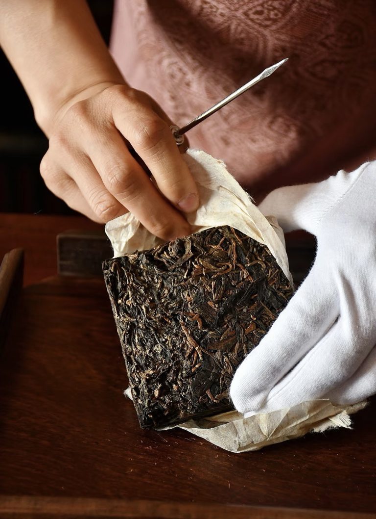 Exploring the Complex Taste Profiles of Aged Raw Pu Erh