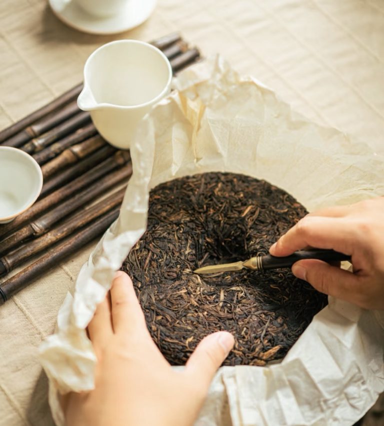 Exploring the Regional Varieties of Pu Erh Tea