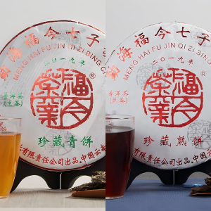 2019 Fu Jin Collection Raw & Ripe Pu Erh Tea Sampler