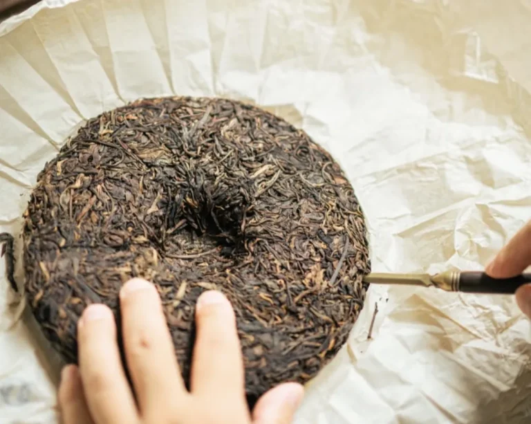 Compressed Pu Erh Tea vs Loose-Leaf Which One Suits You Best