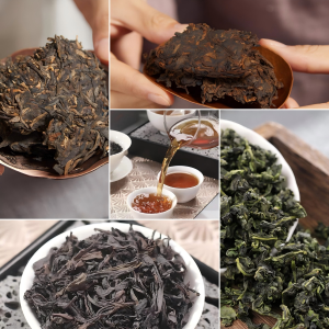 Tea Discovery Journey