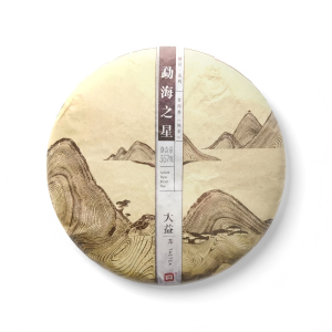 2014 Da Yi Star of Menghai Aged Ripe Tea Cake